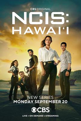 点击播放《海军罪案调查处：夏威夷第一季》