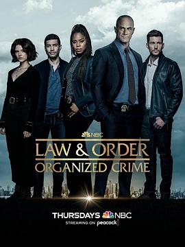 点击播放《法律与秩序：组织犯罪第三季/法律与秩序：有组织犯罪》