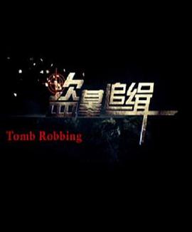 点击播放《盗墓追缉/Tomb  Robbing》