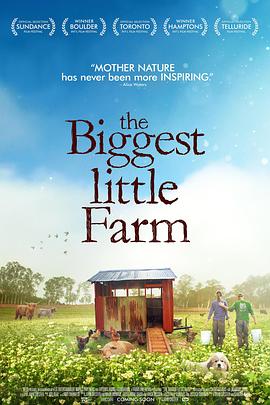 点击播放《最大的小小农场[电影解说]/我家有个开心农场[台]》