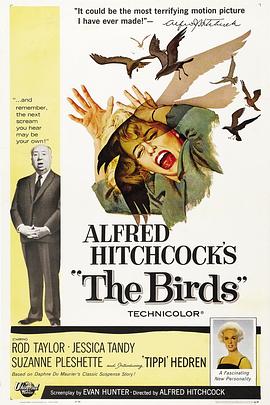 点击播放《群鸟1963[电影解说]/鸟 / Alfred Hitchcock's The Birds》