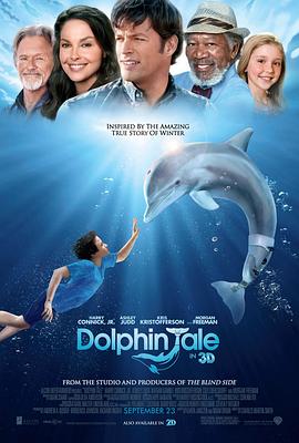 点击播放《海豚的故事[电影解说]/一只海豚的传说 / 一只海豚的故事》