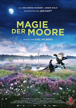 点击播放《神秘荒野德语/Magie der Moore》