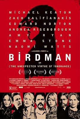 点击播放《鸟人[电影解说]/飞鸟侠[港] / 无知的意外之美 / Birdman》