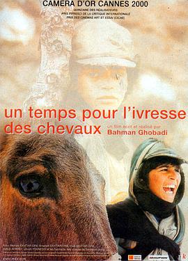 点击播放《醉马时刻/大不了的童年 / Zamani barayé masti asbha / A Time For Drunken Horses》