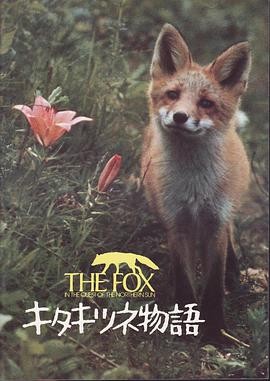 点击播放《狐狸的故事/Story of the Northern Fox / The Glacier Fox / 北极狐物语》