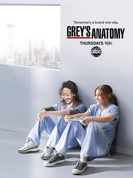 点击播放《实习医生格蕾 第八季/医人当自强 第八季 / 格蕾的解剖 第八季 / 外科实习生格蕾 第八季》