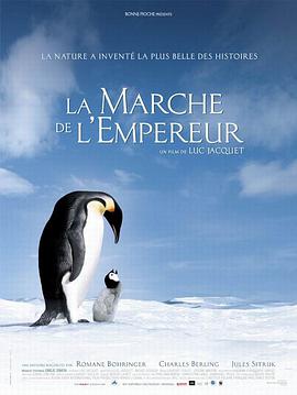点击播放《帝企鹅日记/企鹅宝贝：南极的旅程 / 企鹅进行曲 / 小企鹅大长征 / 企鹅的三月 / March of the Penguins / The Emperor's Journey》