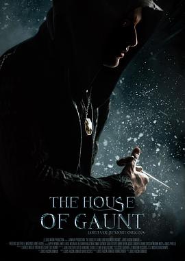 点击播放《冈特家族：伏地魔起源/冈特家族 / The House of Gaunt / The House of Gaunt - Les origines de Voldemort》