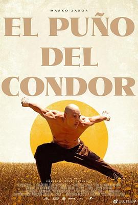 点击播放《雕形拳/The Fist of the Condor》