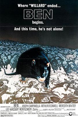 点击播放《鼠王1972[电影解说]/大危机 / 贝恩》