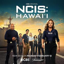 点击播放《海军罪案调查处：夏威夷第三季》