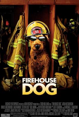 点击播放《消防犬/我家也有消防狗》