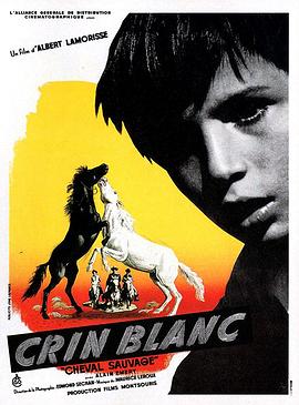 点击播放《白鬃野马/白骏马 / White Mane: The Wild Horse / Wild Stallion》