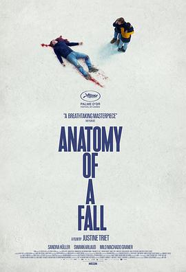 点击播放《坠落的审判/坠楼死亡的剖析 / 一场坠楼的剖析 / 坠落的剖析 / Anatomy of a Fall》