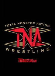[摔角]TNA：PPV[2009年]