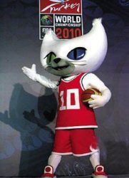 2010男篮世锦赛