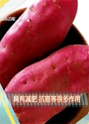 [养生]冬天里的“冠军菜”—红薯