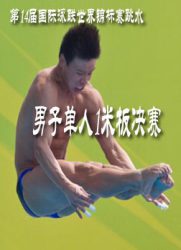 第14届国际泳联世界锦标赛跳水：男子单人1米板决赛