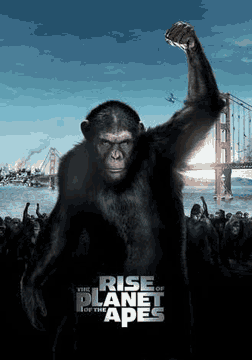 点击播放《猩球崛起/猿人争霸战：猩凶革命[港] / 猿族崛起 / 猩团的崛起 / 猩星新兴[豆友译名] / Rise of the Apes》
