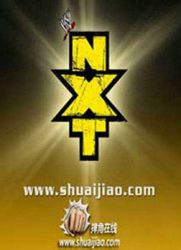 美国摔跤比赛NXT[2013]