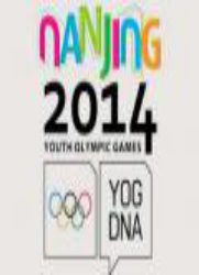2014年南京青年奥林匹克运动会开幕式