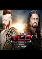 点击播放《WWE TLC 桌梯椅大赛2015》