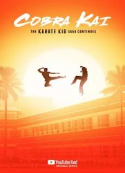 眼镜蛇第一季/Cobra Kai: the Karate Kid Saga Continue