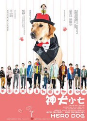 神犬小七第一季/Hero Dog Season 1