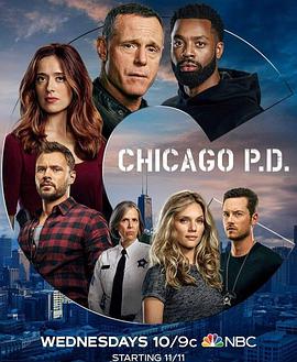 点击播放《芝加哥警署第八季/芝加哥警局》